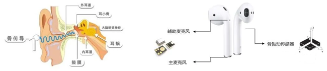 骨振動(dòng)傳感器在TWS耳機中的應用