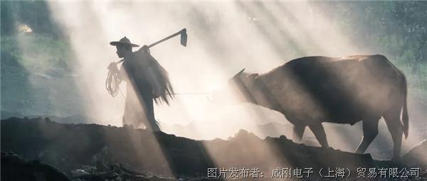 智慧農業(yè)大有可為，“數字種地”更輕松