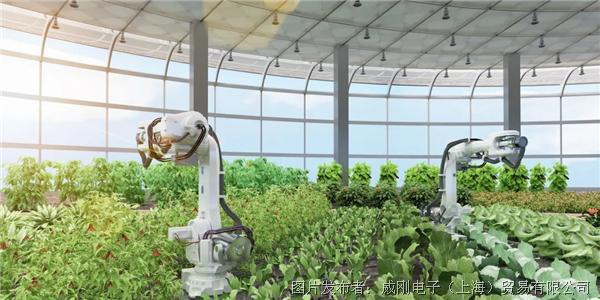 智慧農業(yè)大有可為，“數字種地”更輕松